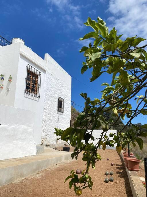Villa Casa Aya Teror Exterior foto